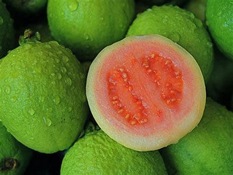 Details About 15 Fresh Sweet Tropical Thai Ruby Red Guava Apple Seeds