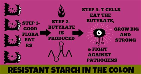 What Is Resistant Starch And The Best Sources Of Resistant Starch Eat Beautiful