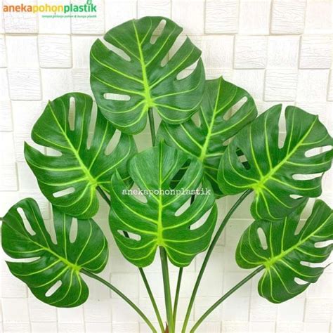 Promo Pohon Daun Monstera X Hijau Latex Artificial Pot Dasar Putih