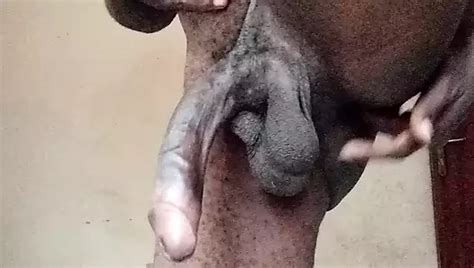 Double Hand Job By Londiq Anal And Masterbating On Webcam With Cumshot Gay Porn Xhamster