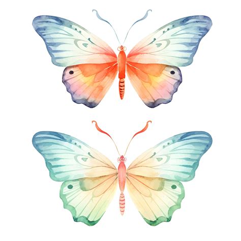 Premium Vector | Watercolor butterfly illustration