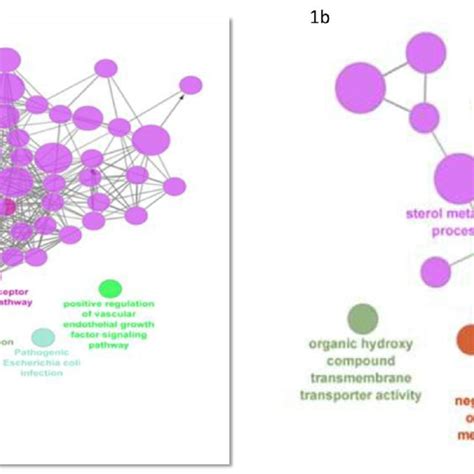 Protein Protein Interaction Networks Ppis Of Degs Were Constructed