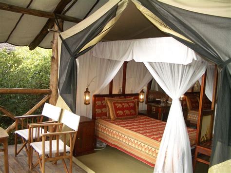 Tents At Fig Tree Camp Tree Camping Fig Tree Kenya Safari