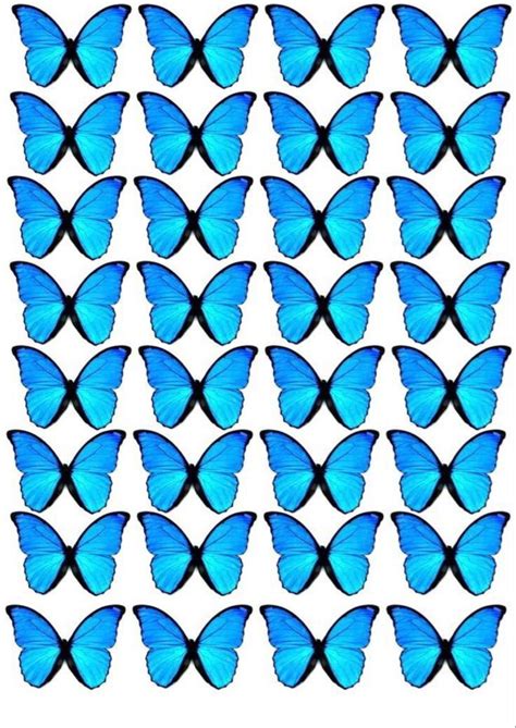 Blue Butterflies Are Arranged In Rows On A White Background