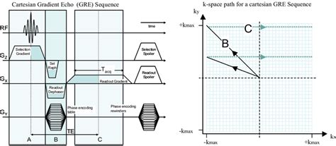 4 Spin Warp Imaging Pulse Sequence Selective Excitation Takes Place