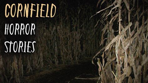 3 Terrifying TRUE Cornfield Horror Stories YouTube