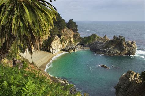 Julia Pfeiffer Burns State Park Photograph by Alan Majchrowicz