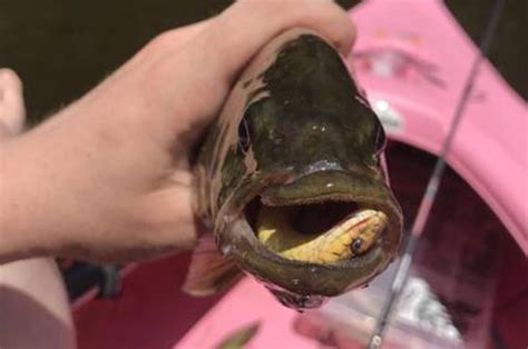 37 Cool Ass Pics To Fill Your Day With Fun EBaum S World