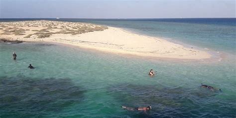 Snorkeling Tour At Hamata Qulaan Islands From Marsa Alam