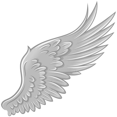 Angel Wing Designs Vector