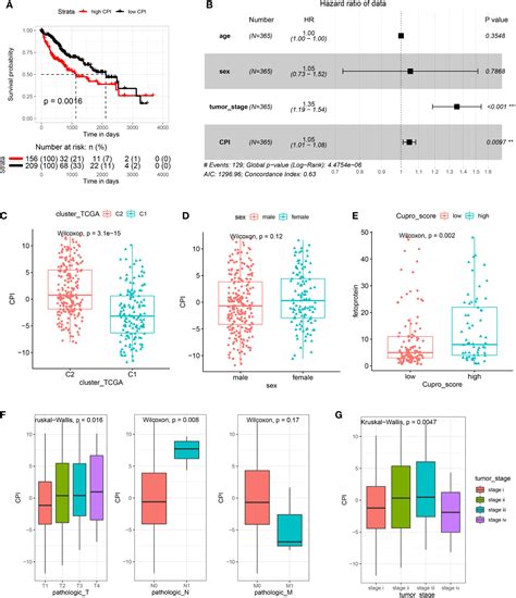 Frontiers Analysis Of Cuproptosis In Hepatocellular Carcinoma Using