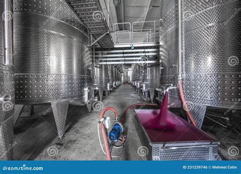 Vinificazione Di Vinacce In Vasca Serbatoi Di Fermentazione Del Vino