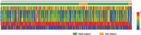 Heatmap Of The Six Selected Radiomic Features In The Training And Download Scientific Diagram