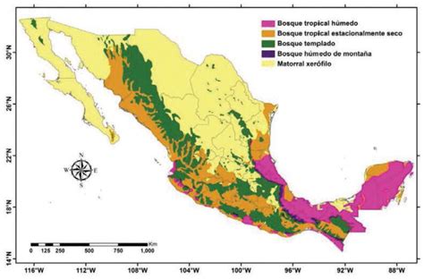 La fauna de México y III Los bosques tropicales