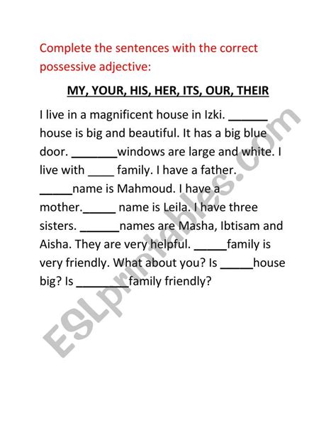 Pronouns And Possessives Exercises