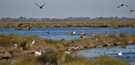 19 plus beaux endroits à visiter en Louisiane Aranjuez