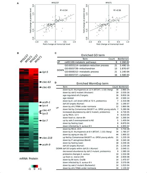 Comparison Of Differential Gene Expression At Transcript And Protein Download Scientific