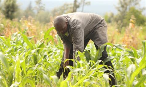 Togo début prochain du 5ᵉ Recensement National de lAgriculture