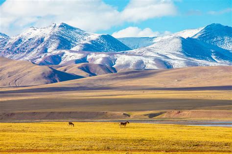 Hoh Xil Beautiful Girl On Qinghai Tibet Plateau Cn