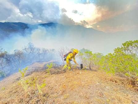 Incendio Forestal En Loja Afect Al Menos Hect Reas De Vegetaci N