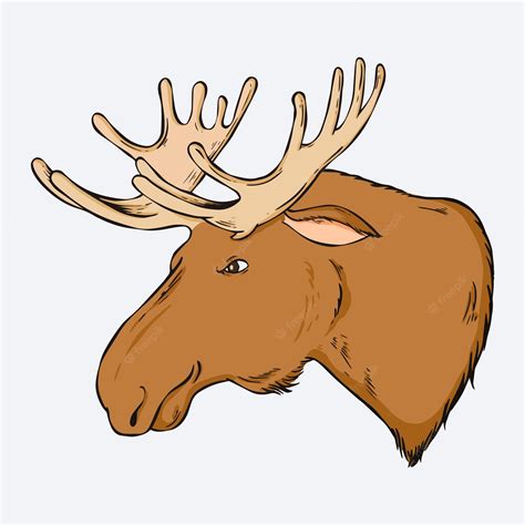 Cartoon Moose Clipart Png Images PNGWing Clip Art Library