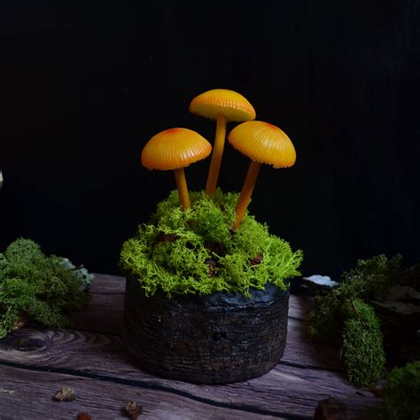 Mushroom Lamp Mushrooms Night Light Fungi LED Glowing In The Etsy