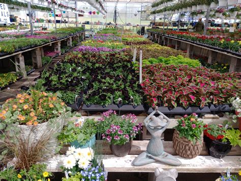 Public Transit Routes to Hilltop Garden Center in Meriden 2