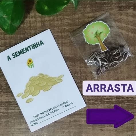 Professora Erli Ed Infantil On Instagram Livro A Sementinha Para