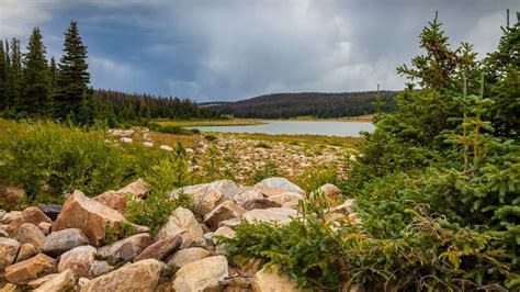 Medicine Bow National Forest