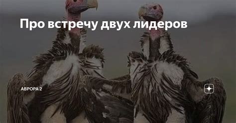 Про встречу двух лидеров | АВРОРА 2 | Дзен