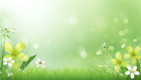 Banner Background Nature Stock Photos, Images and Backgrounds for Free ...