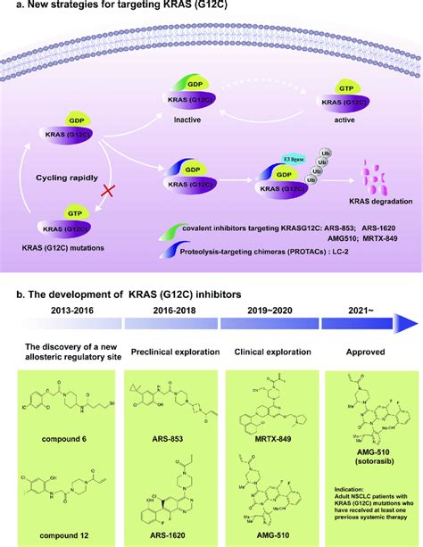 Current Targeted Strategies For Kras G12c A Despite The Mutation