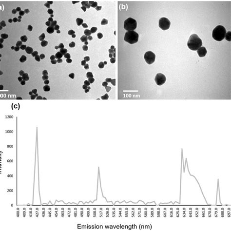 TEM Image Of AgNPs Using Different Magnifications A Bar 100 Nm