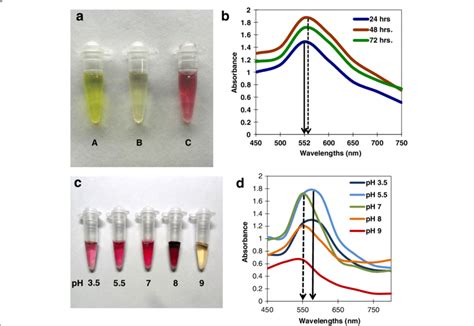 Biosynthesis Of AuNPs Using Tricholoma Crassum And Spectroscopic