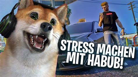 Rumpe Und Habub Machen Stress Csyon Stream Highlights Youtube