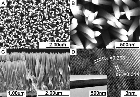 Morphologies Of TiO 2 Nanorod Arrays Typical Top View SEM Images Of