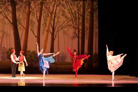 Elements- Snow Queen- Ballet Magnificat! | Ballet magnificat, Balletomane, Ballet costumes