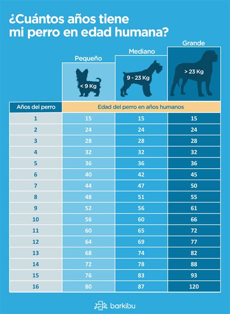 La edad de tu perro en años humanos Barkibu CA