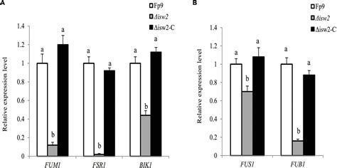 Frontiers Genomic Footprints Related With Adaptation And Fumonisins