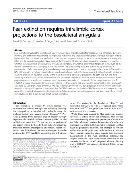 Pdf Fear Extinction Requires Infralimbic Cortex Projections To The