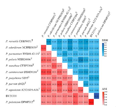 Heat Map Of Average Nucleotide Identity Ani Values And Dna Dna