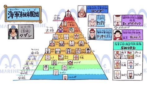 One Piece All Marine Ranks Explained In Order The Complete Hierarchy From Recruit To Admiral