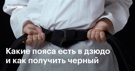 Пояса дзюдо по порядку, цветам и возрастам: что нужно знать и уметь на ...