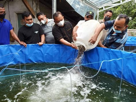 Tangguh Di Tengah Lesunya Ekonomi Sektor Perikanan Jadi Adalan Saat