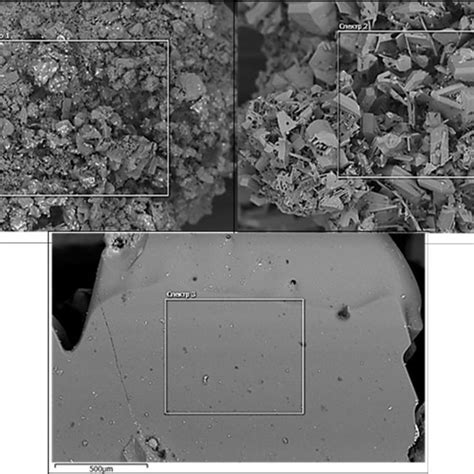 (Scanning) electron microscopic images of a fragment of sample No.1 ...