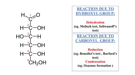 Qualitative Analysis Of Carbohydrates Ppt