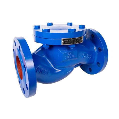 Valmatic Lift Check Valve Valmatic