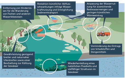 Gew Sserschutz