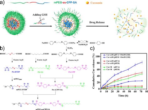 A Schematic Illustration Of The Gsh Triggered Drug Release From