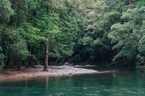 Promised Land Bellingen • All You Need To Know Jonny Melon